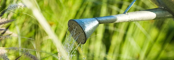 Gießkanne gießt Wasser auf Gras
