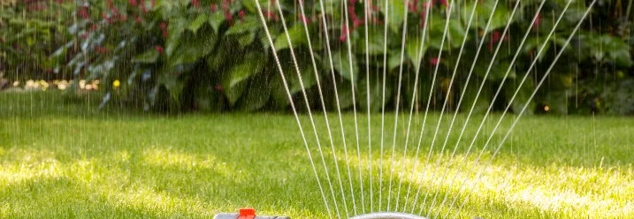 Sprinkler bewässert Rasen