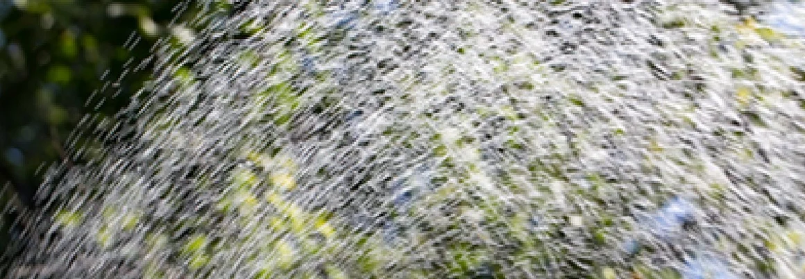 Wasser sprüht aus Gartenschlauch