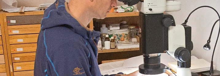 Person betrachtet etwas durch ein Mikroskop