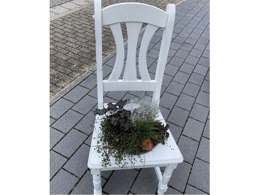 Weißer Stuhl mit Herbstpflanzen