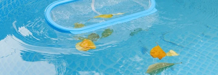 Kescher reinigt Pool von Blättern