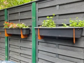 Zwei Blumenkästen an einem Zaun