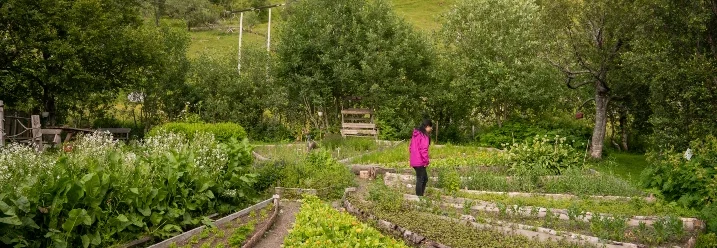 Person steht in einem Garten
