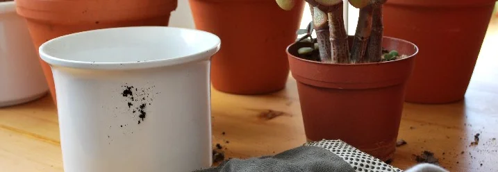 Blumentöpfe und Gartenhandschuhe auf einer Arbeitsplatte