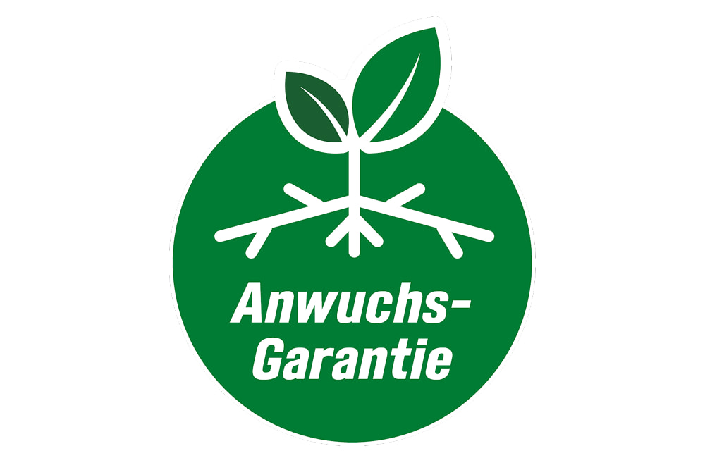 Anwuchs-Garantie toom