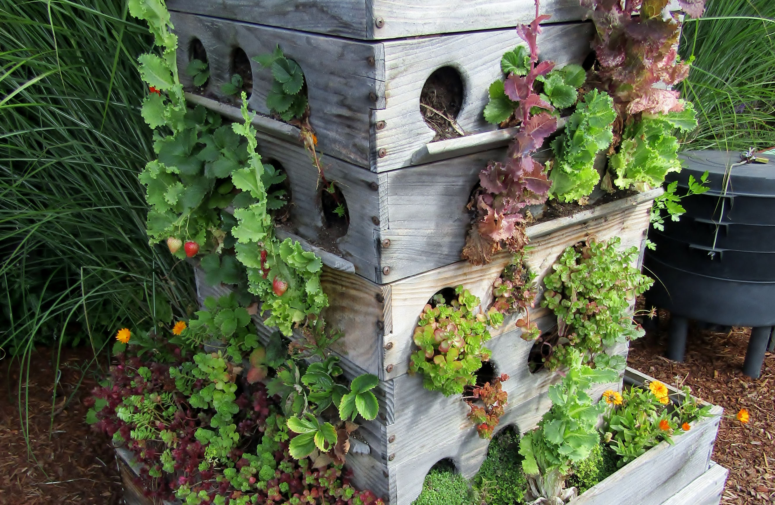 Vertikaler Garten mit Erdbeeren und Salat